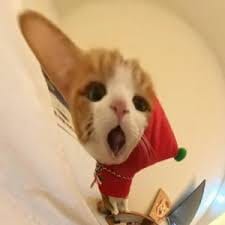 Daniel Villanueva avatar